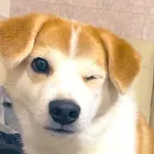ユーザー画像