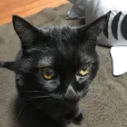 ユーザー画像