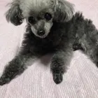 ユーザー画像