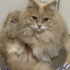 ユーザー画像