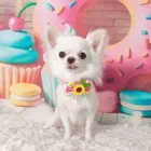 ユーザー画像