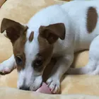 ユーザー画像