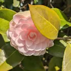 ユーザー画像