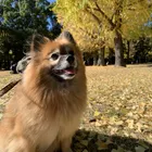 ユーザー画像