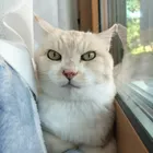 ユーザー画像