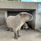 ユーザー画像