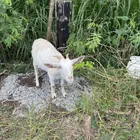 ユーザー画像