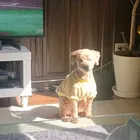 ユーザー画像