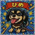 ユーザー画像