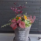 ユーザー画像