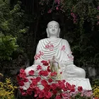 ユーザー画像