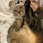 ユーザー画像