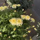 ユーザー画像