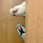 ユーザー画像