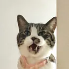 ユーザー画像