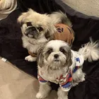 ユーザー画像