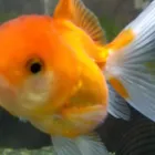 ユーザー画像