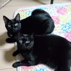 ユーザー画像