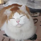 ユーザー画像