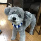 ユーザー画像