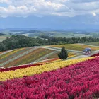 ユーザー画像