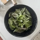 ユーザー画像