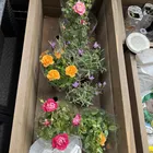 ユーザー画像