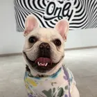 ユーザー画像