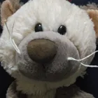 ちゃちゃ