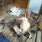 ユーザー画像