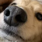 ユーザー画像