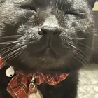 ユーザー画像