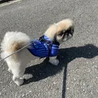 ユーザー画像