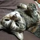 ユーザー画像