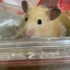 ユーザー画像
