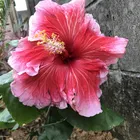 ユーザー画像