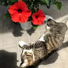 ユーザー画像