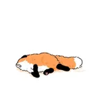 ユーザー画像