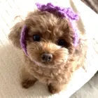 ユーザー画像