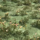 ユーザー画像