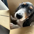 ユーザー画像