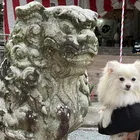 ユーザー画像