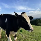 ユーザー画像