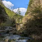 ユーザー画像
