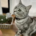 ユーザー画像