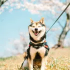 ユーザー画像