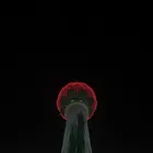 ユーザー画像