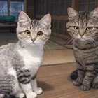 ユーザー画像