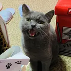 ユーザー画像