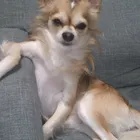 ユーザー画像
